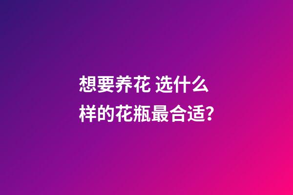 想要养花 选什么样的花瓶最合适？